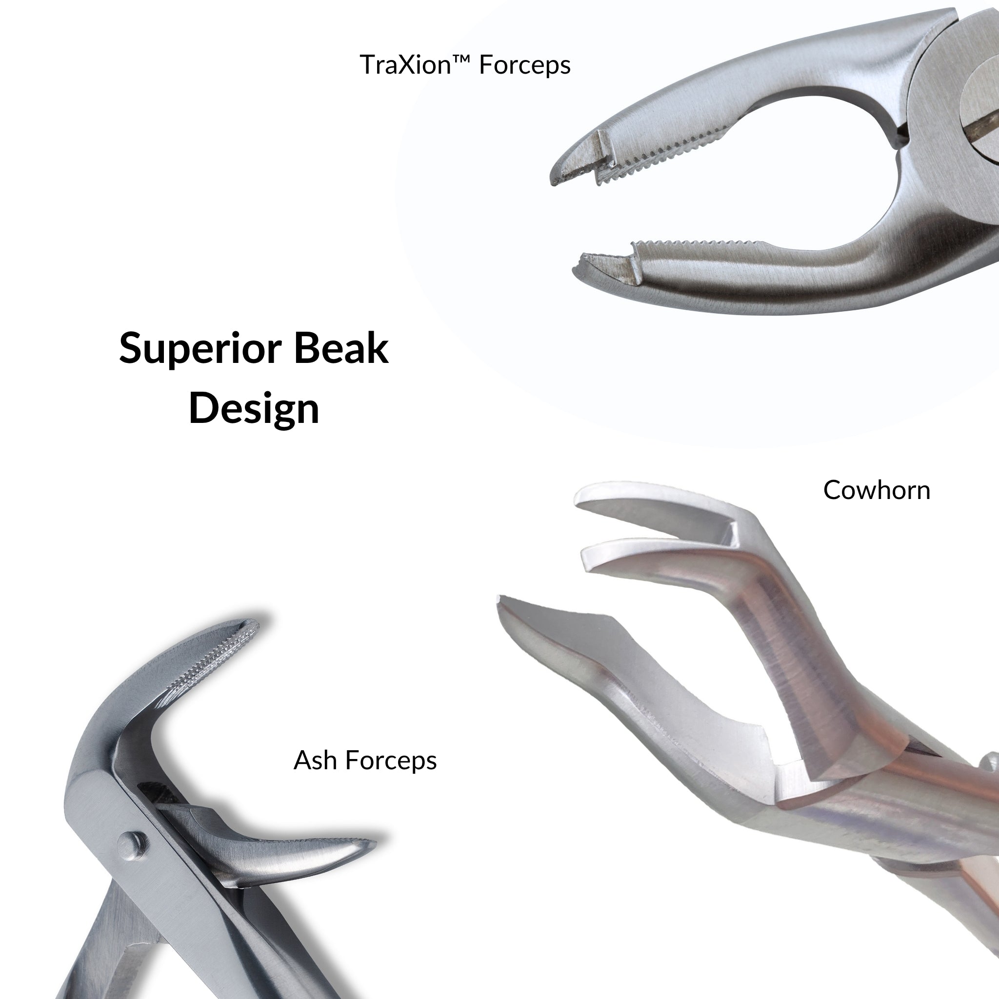 Extraction Forceps Bundle