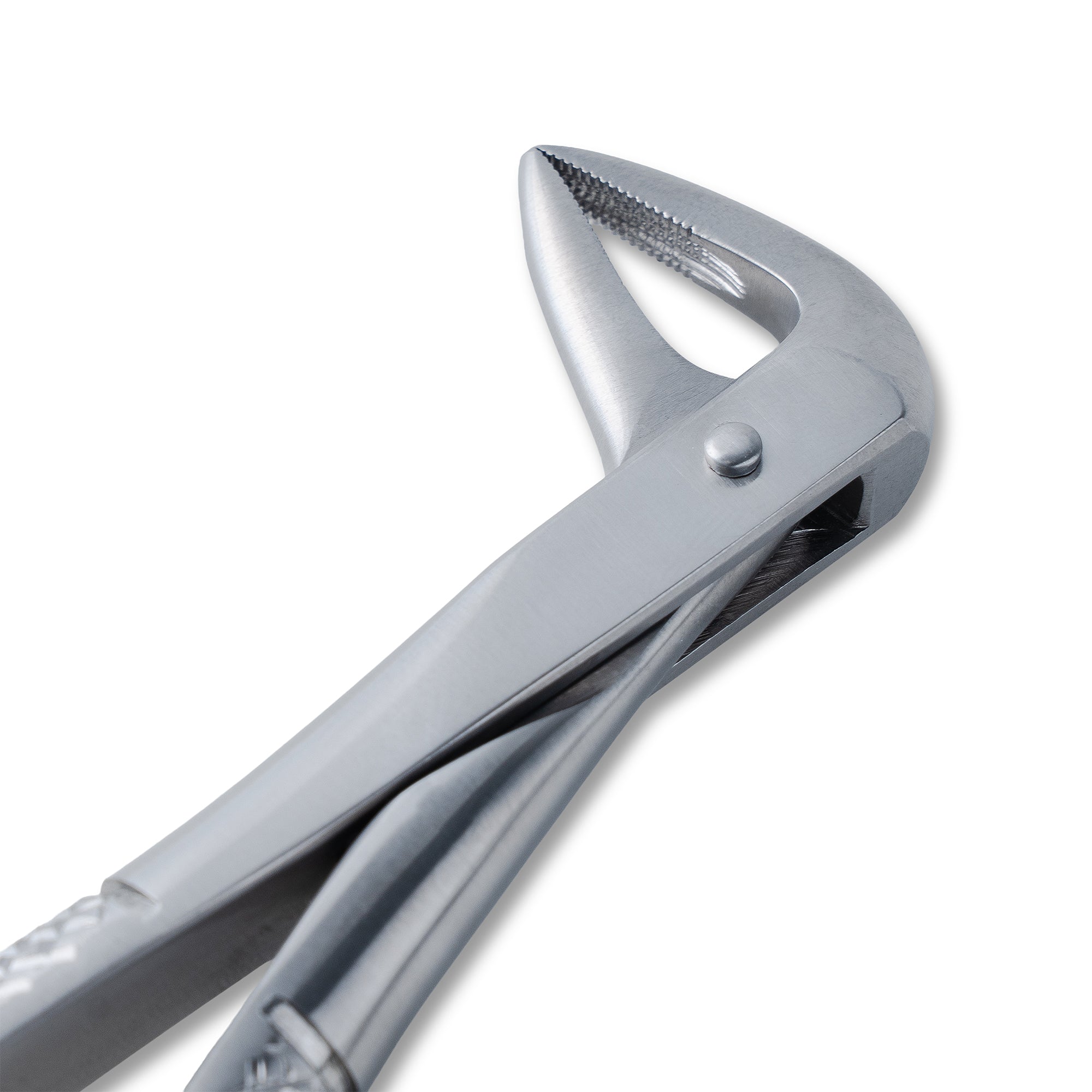 Ash Forcep