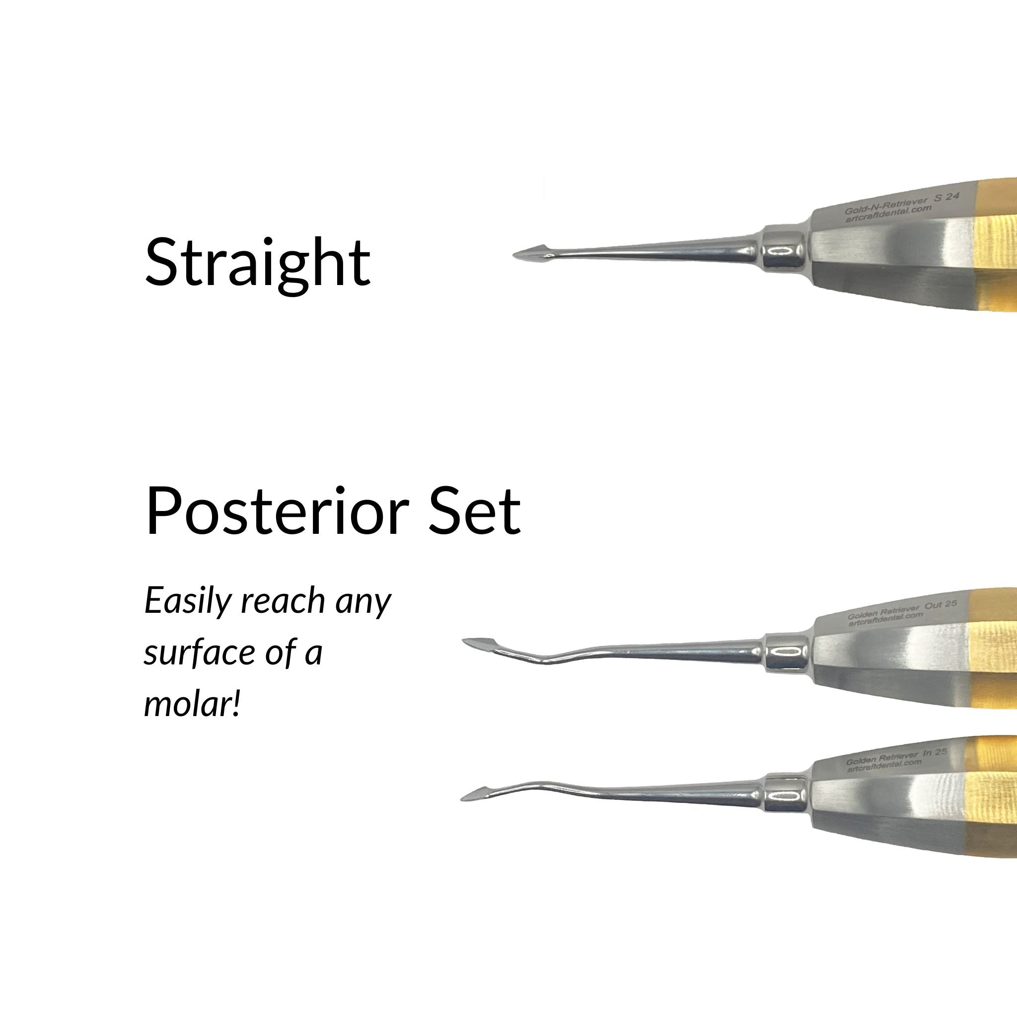 Golden Retriever™ Spears