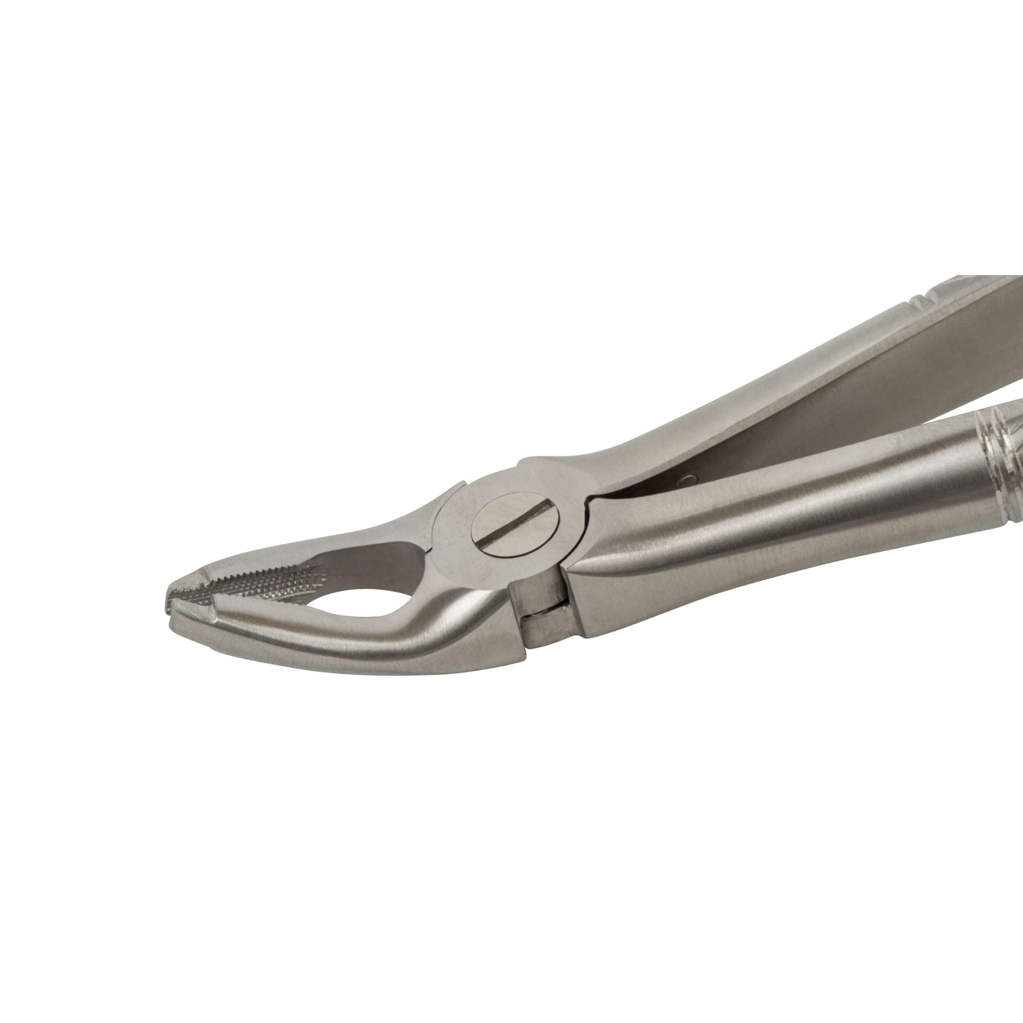 Dentist using TraXion 150 upper extraction forceps during maxillary tooth removal procedure