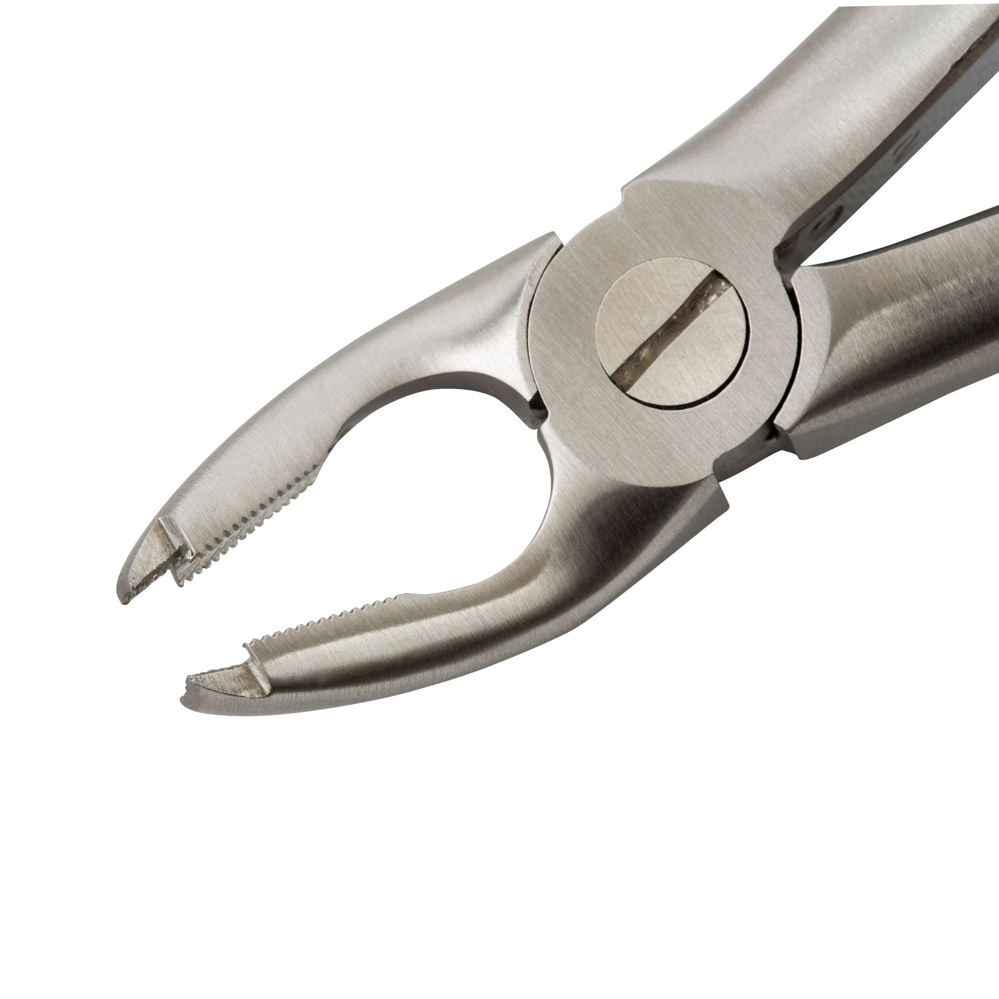 TraXion™ Forceps