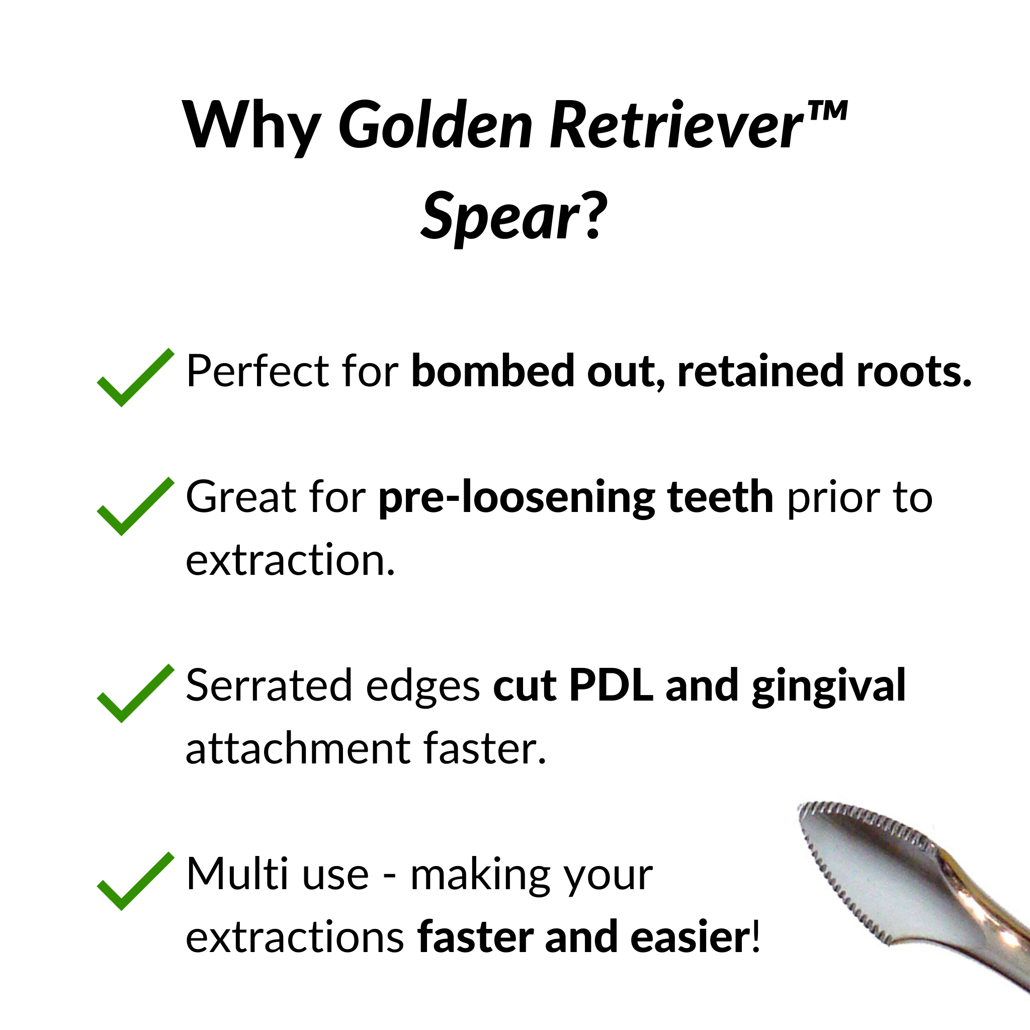 Golden Retriever™ Spear
