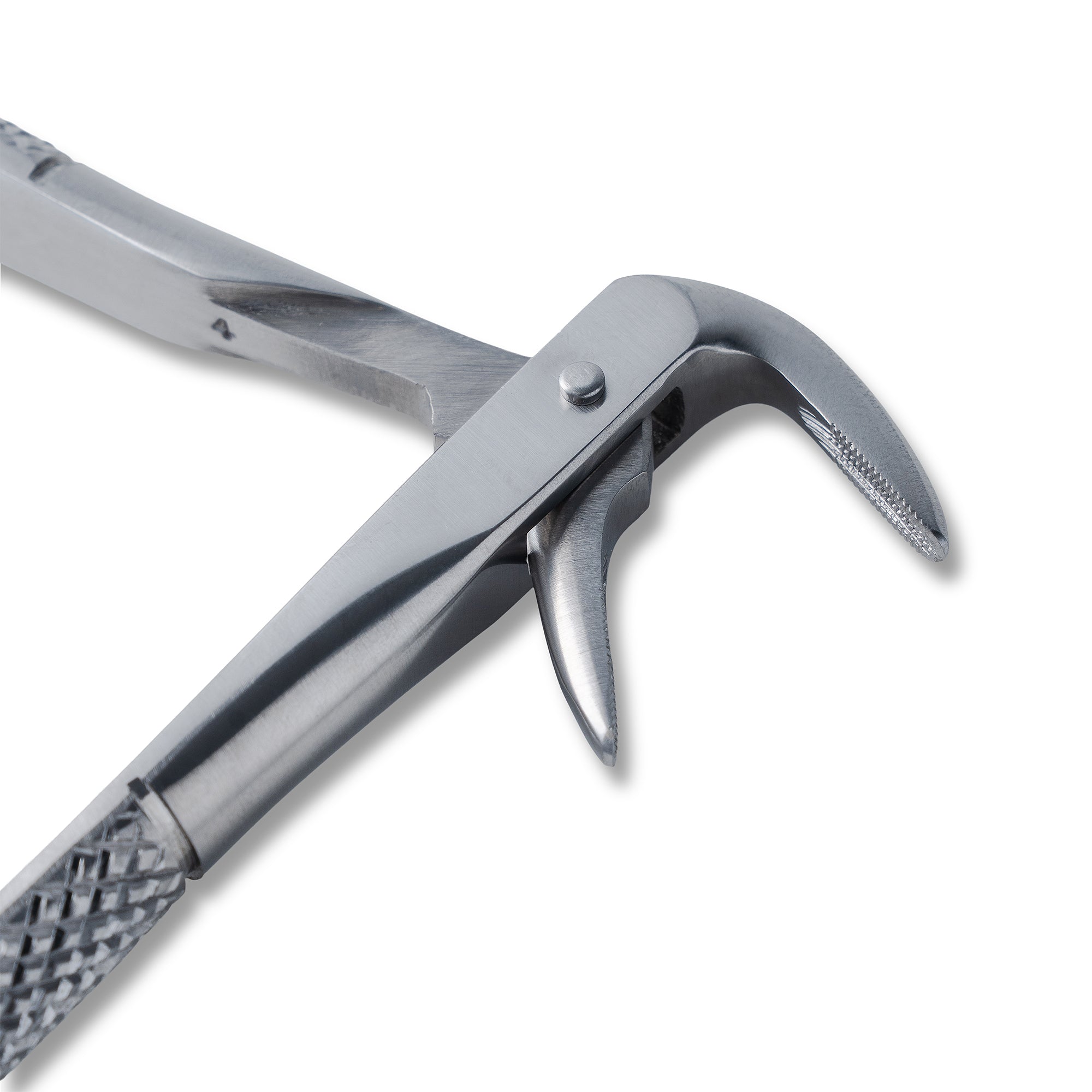 Ash Forcep
