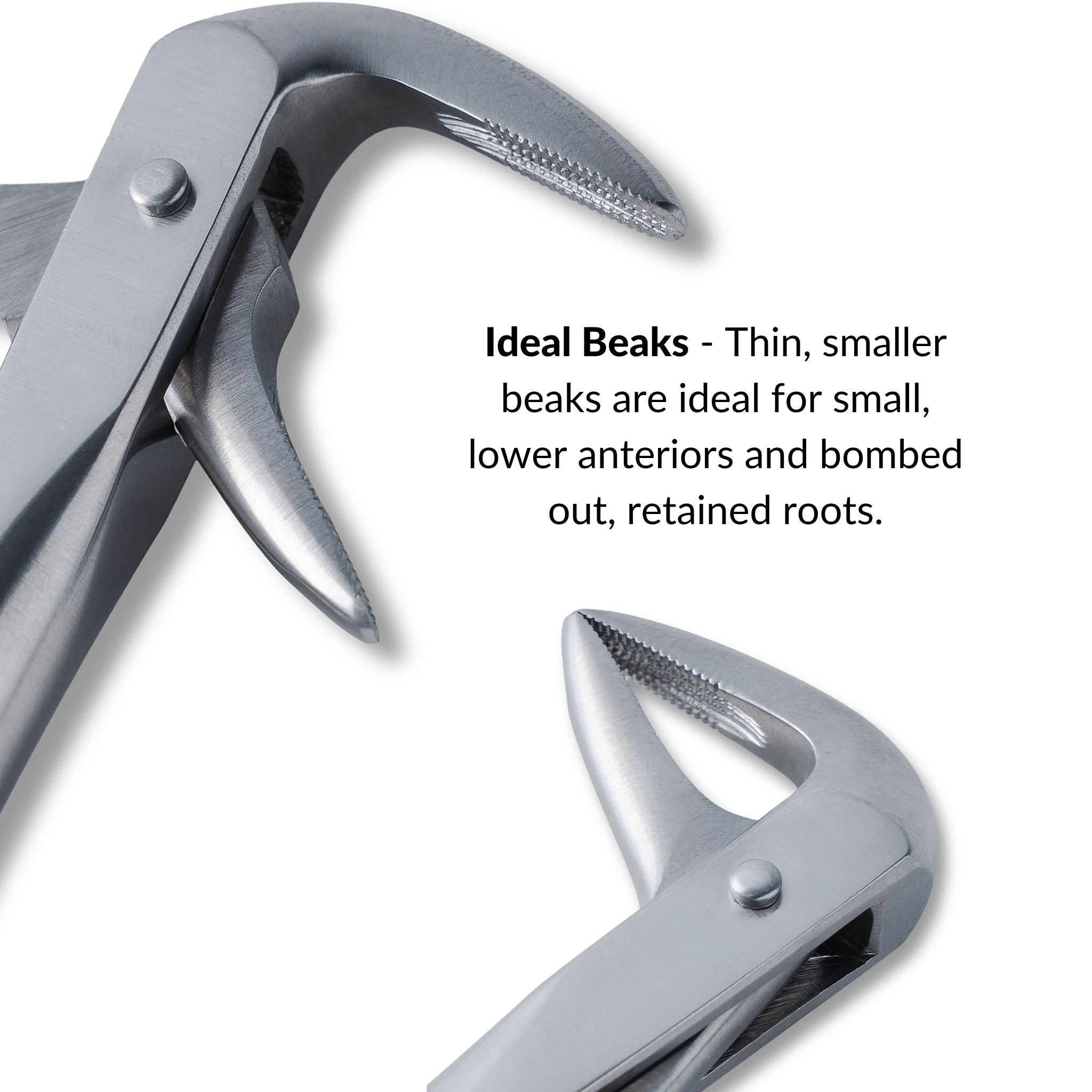 Ash Forcep
