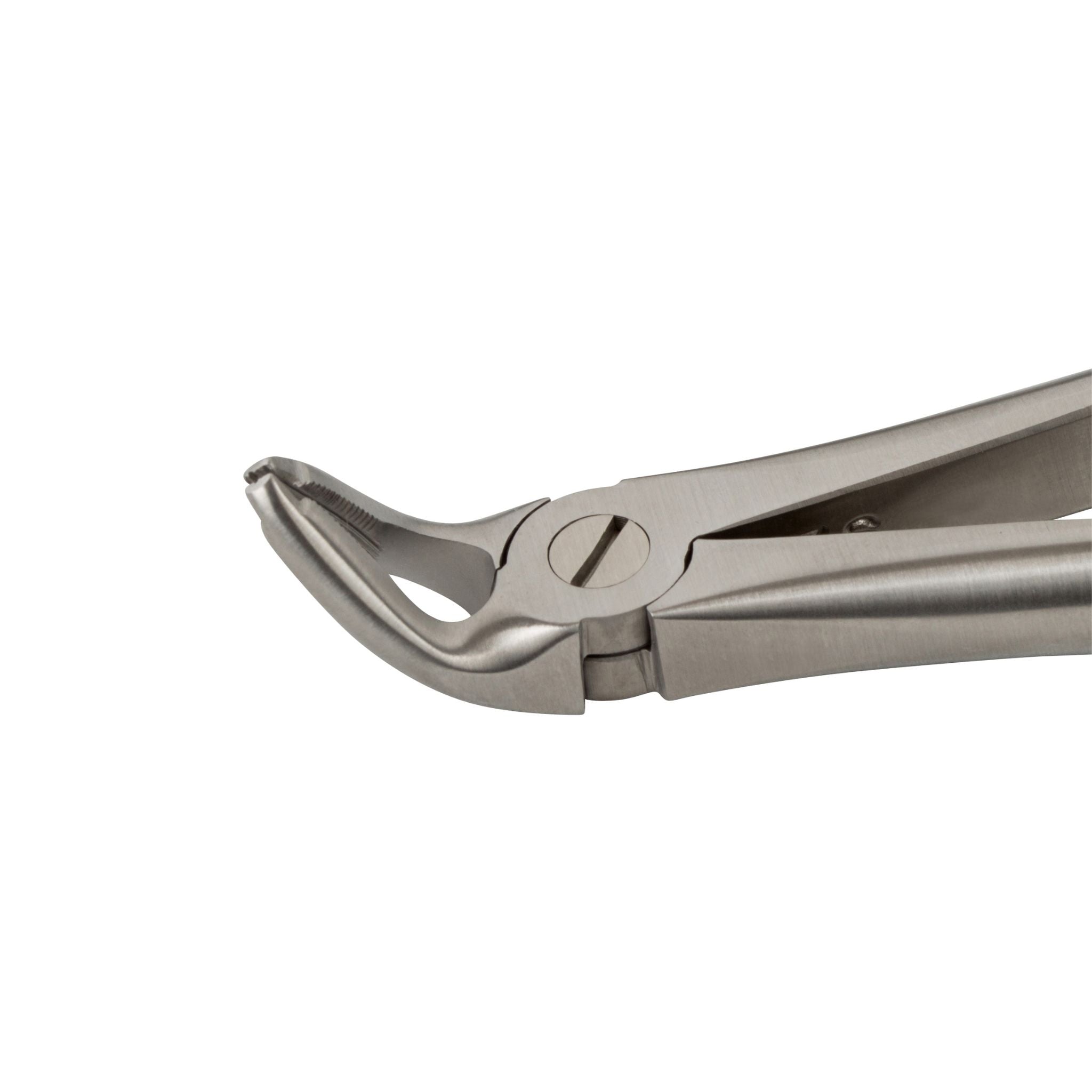 TraXion 151 lower dental forceps used for mandibular tooth extraction in clinical setting