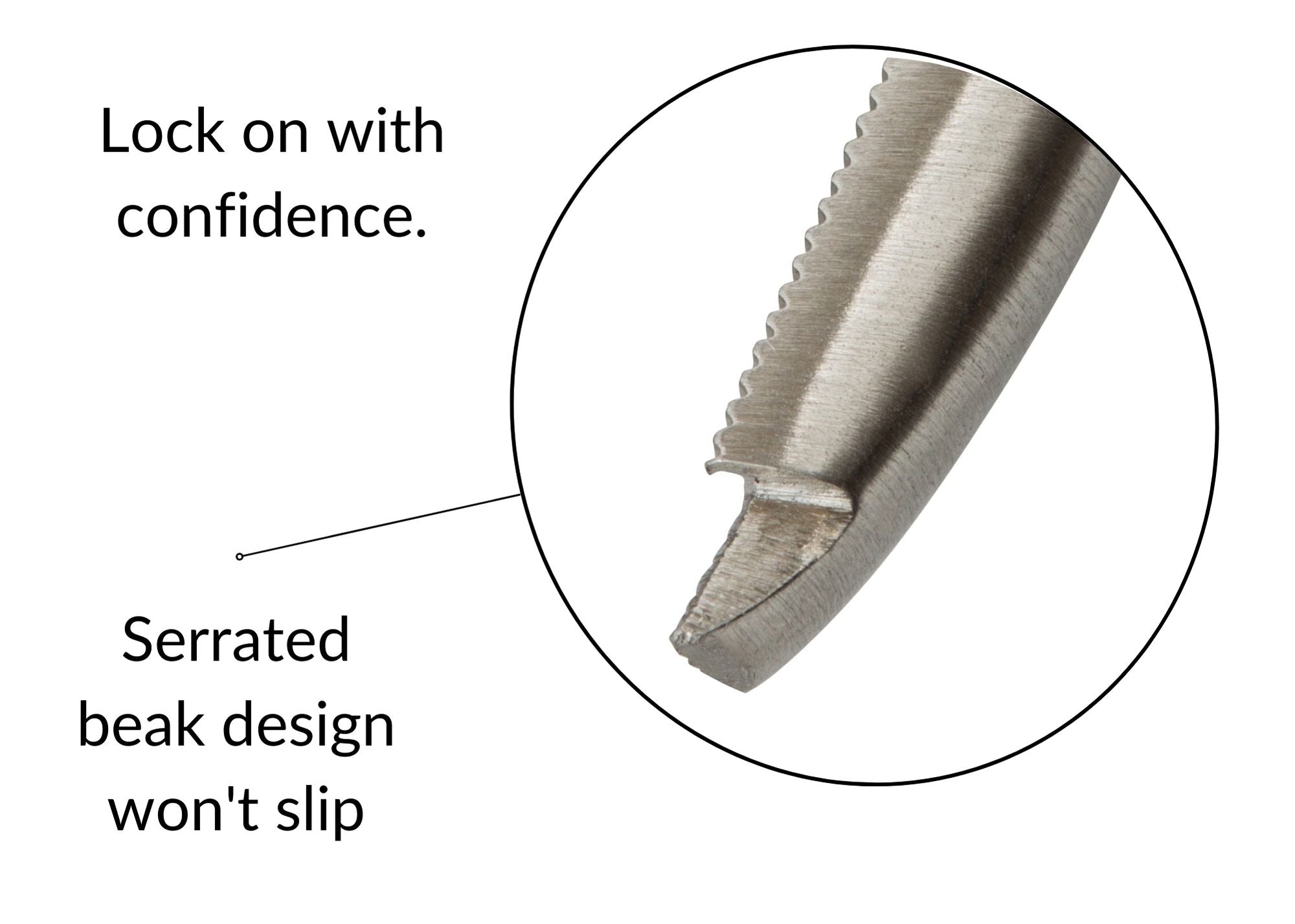 Close-up of TraXion serrated forceps beak gripping tooth during dental extraction for improved traction and control