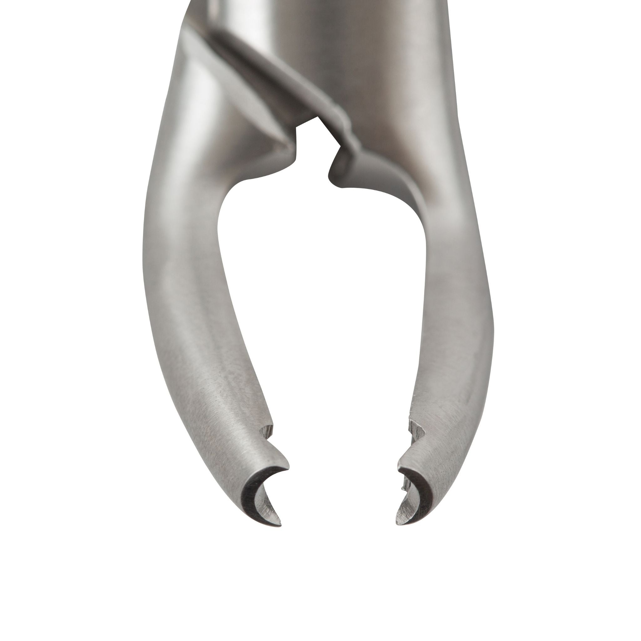 Close-up of TempOff 4-point contact tip gripping a temporary dental crown for atraumatic removal