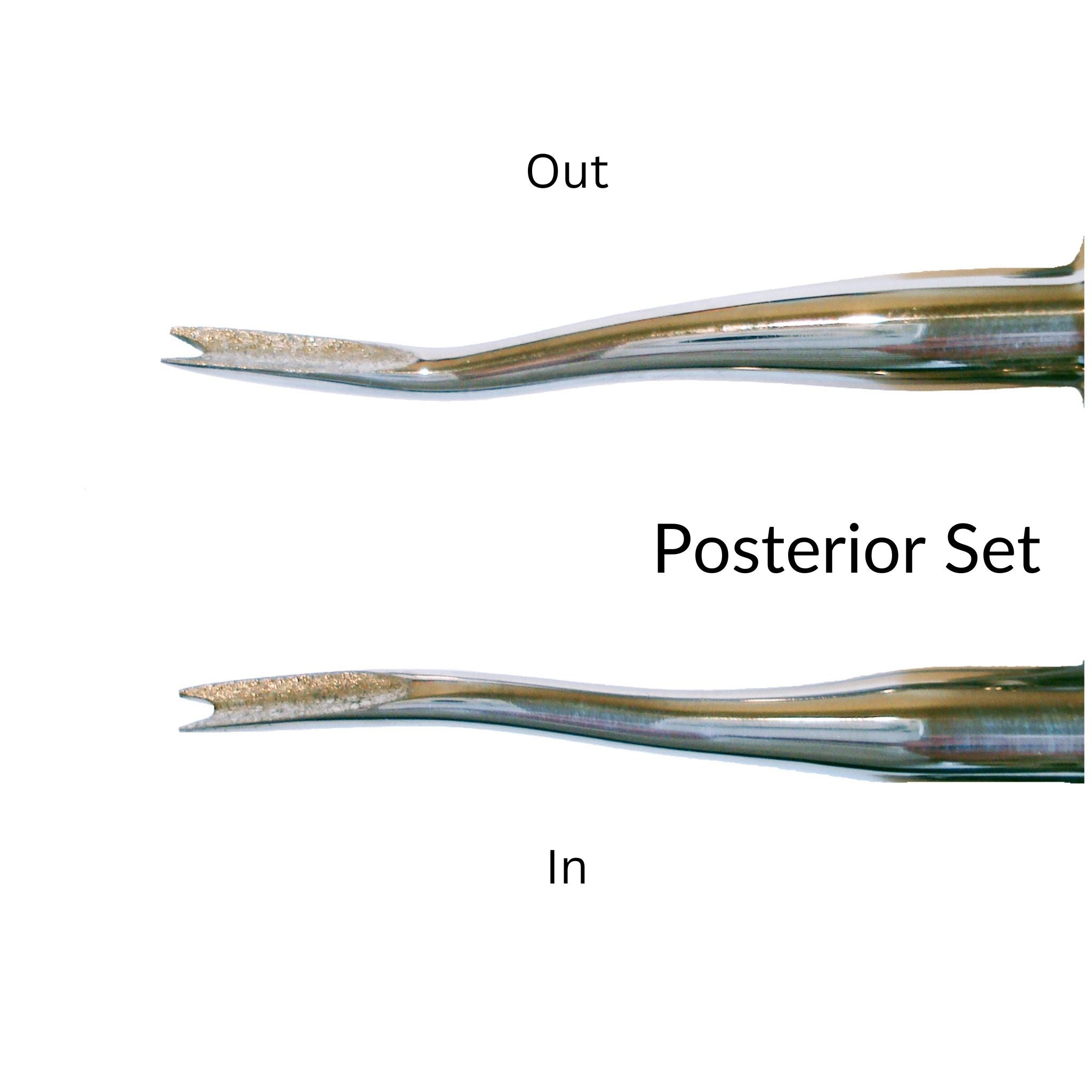 Xpanders posterior set in and out dental extraction elevators